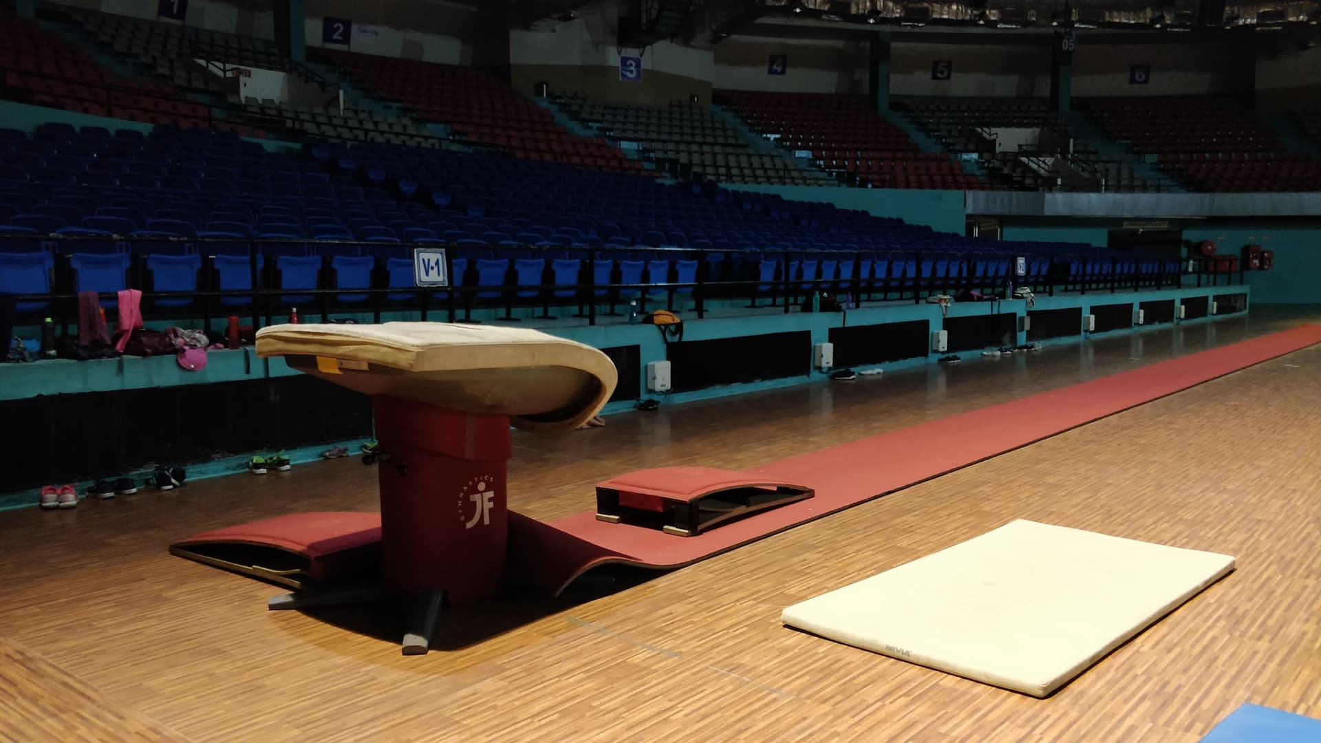 Swansea gymnastics club