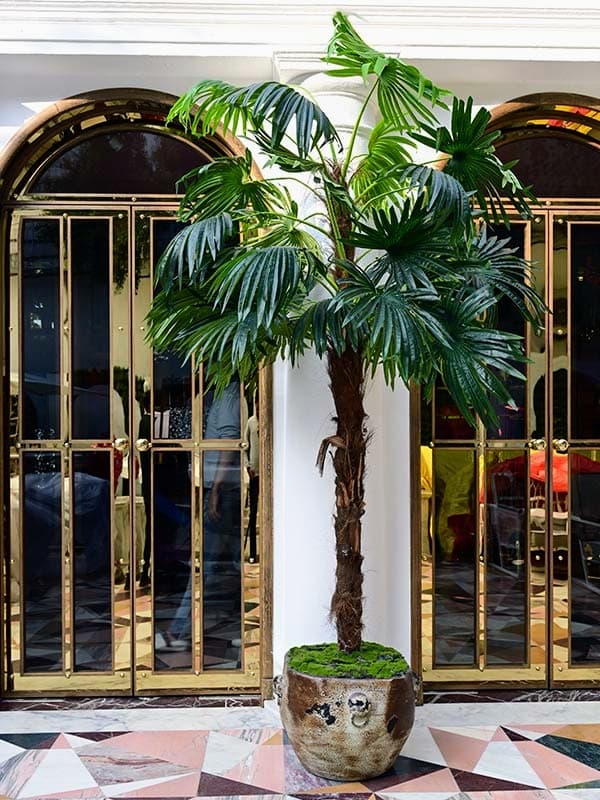 The Bent Chair Studio