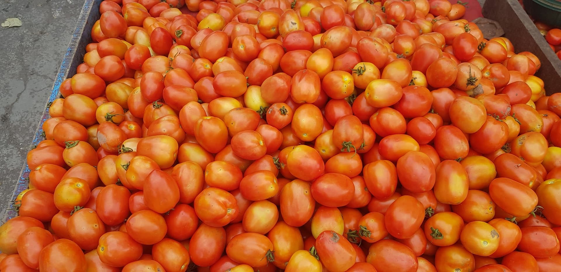 Udhna Road No 2 Vegetable Market