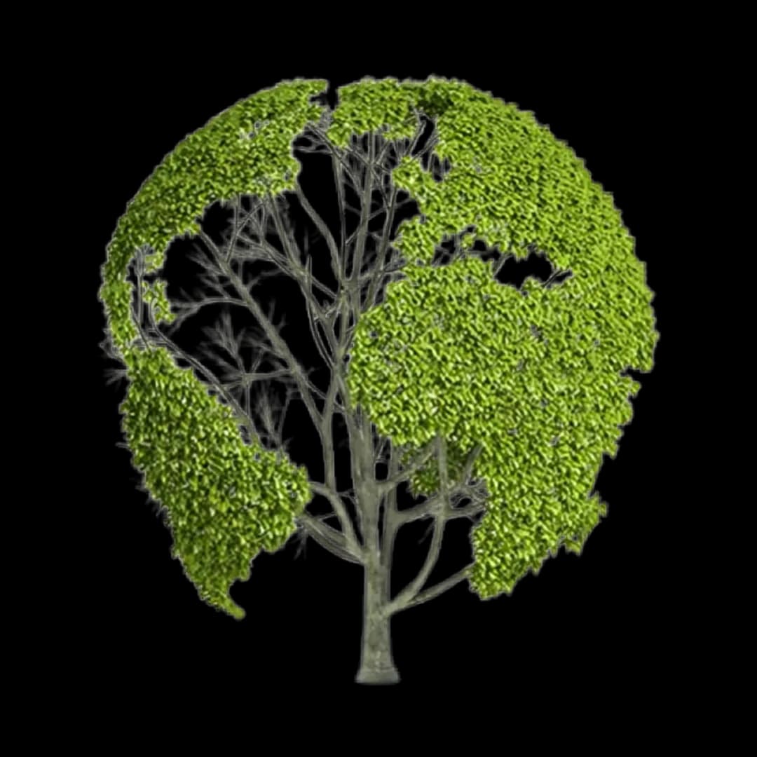 Environmental Services