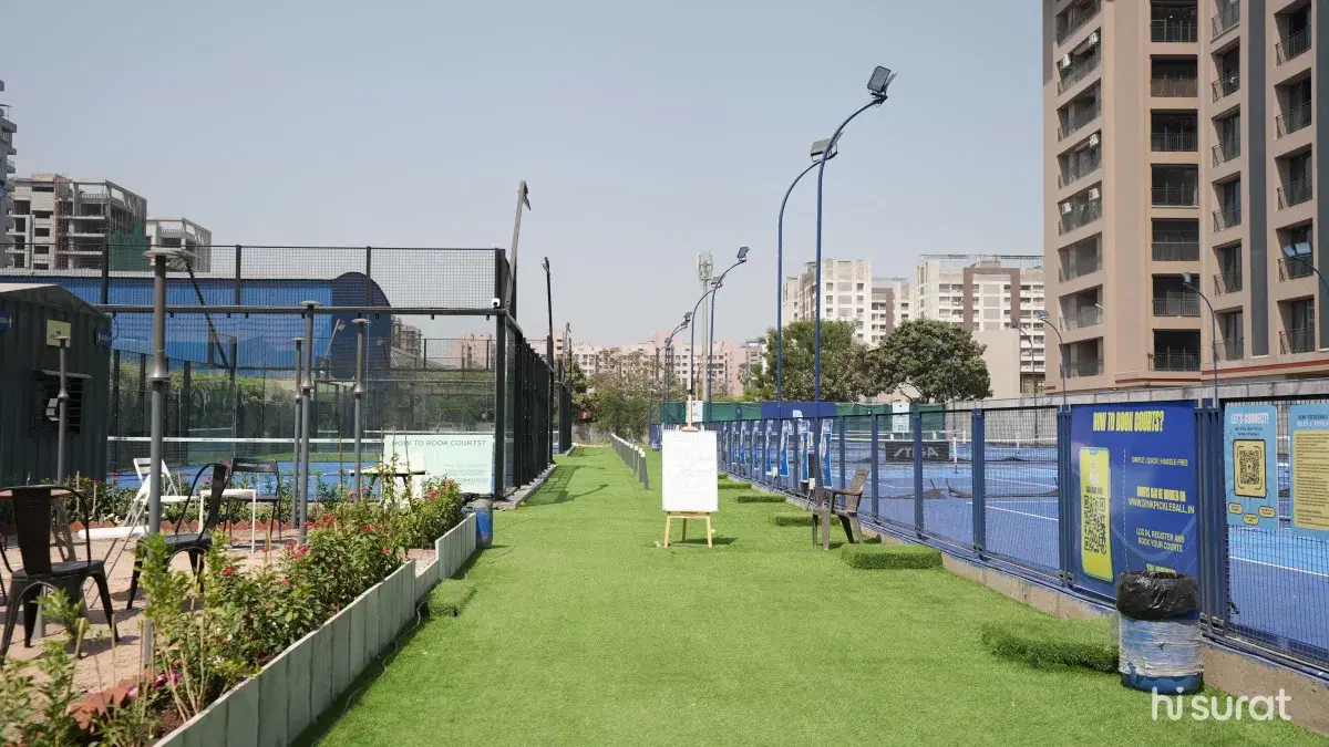 Dink Pickleball, Pal