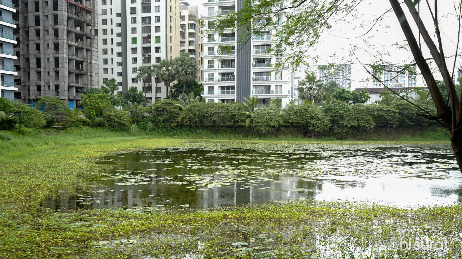 Bharthana Lake Garden