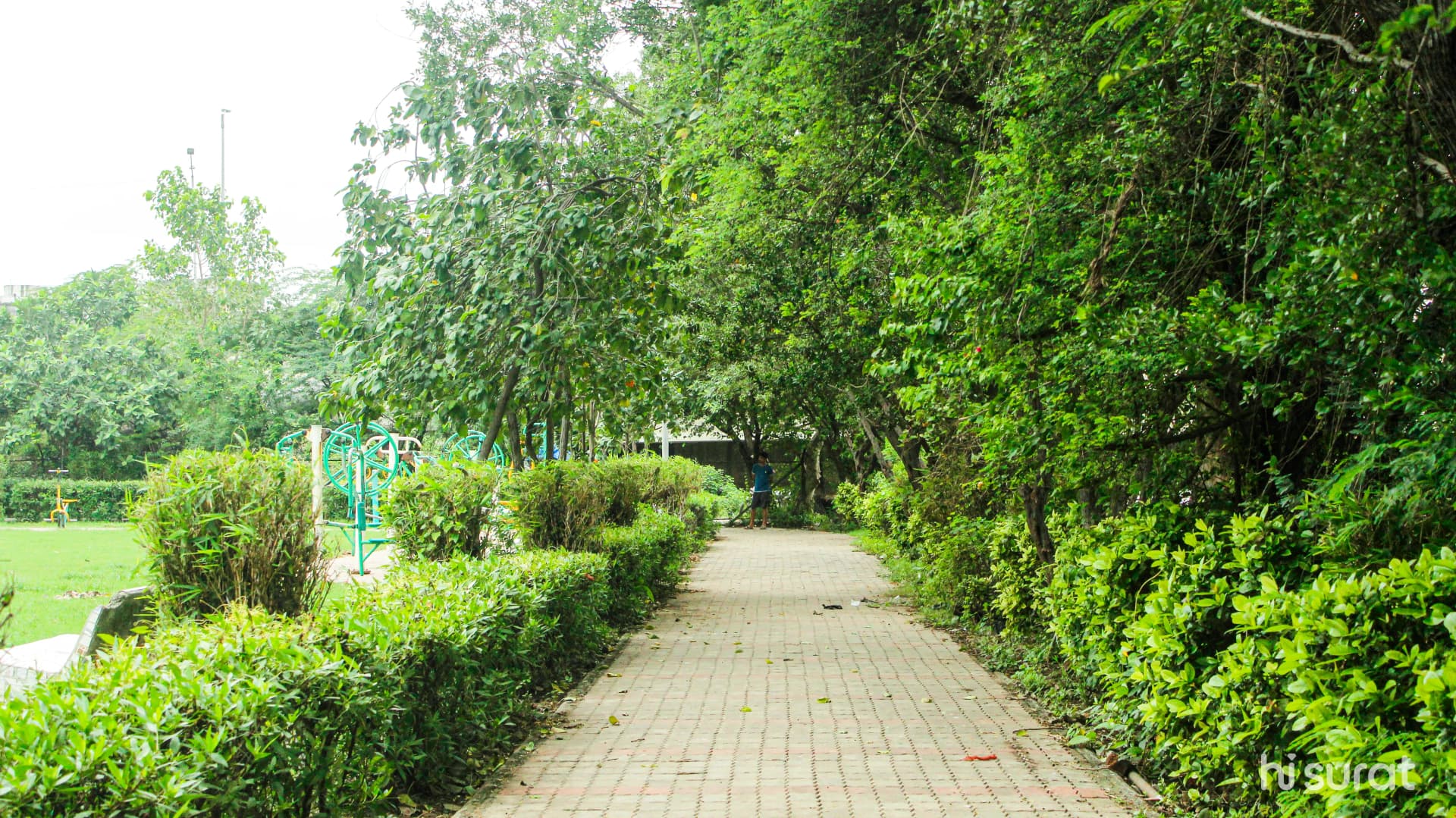 Amroli Tapi Ghat Garden