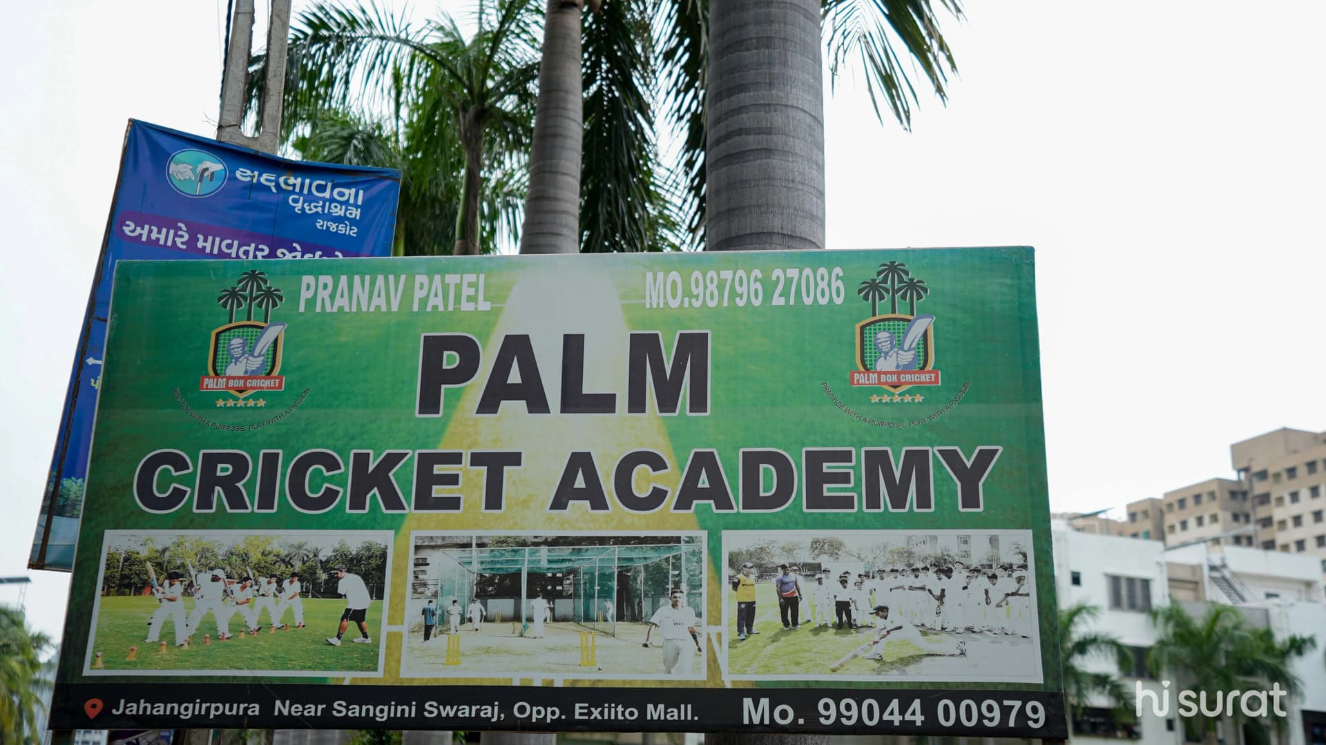 Palm Box Cricket
