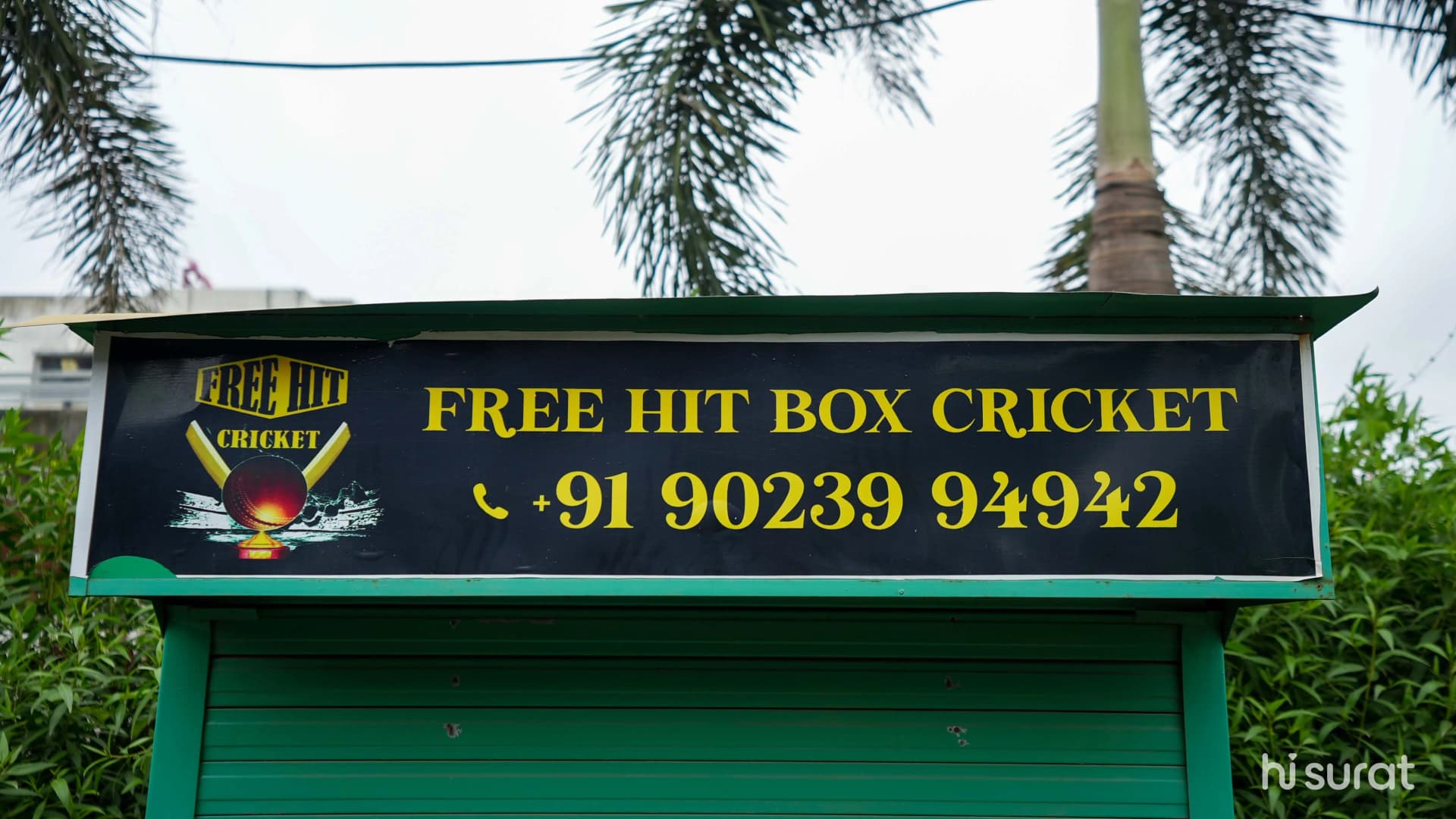 Free Hit Box Cricket Turf